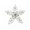 Star with Rhinestone brooch