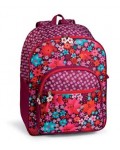 32.5 x 43.5 x 16 cm backpack.