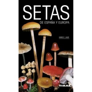 SETAS DE ESPAÑA Y DE EUROPA