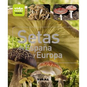 SETAS DE ESPAÑA Y EUROPA