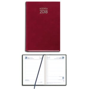 AGENDA AÑO 2018 PRAXIS CORINTIO