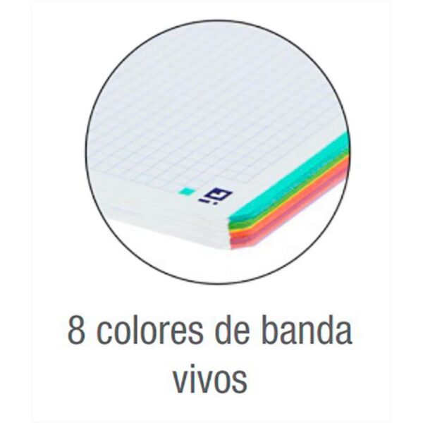 Cuaderno espiral oxford europeanbook 8 live&go tapa plastico din a4+ 160 hojas cuadro 5 mm colores surtidos - Imagen 7