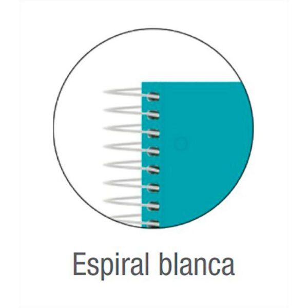 Cuaderno espiral oxford europeanbook 8 live&go tapa plastico din a4+ 160 hojas cuadro 5 mm colores surtidos - Imagen 8