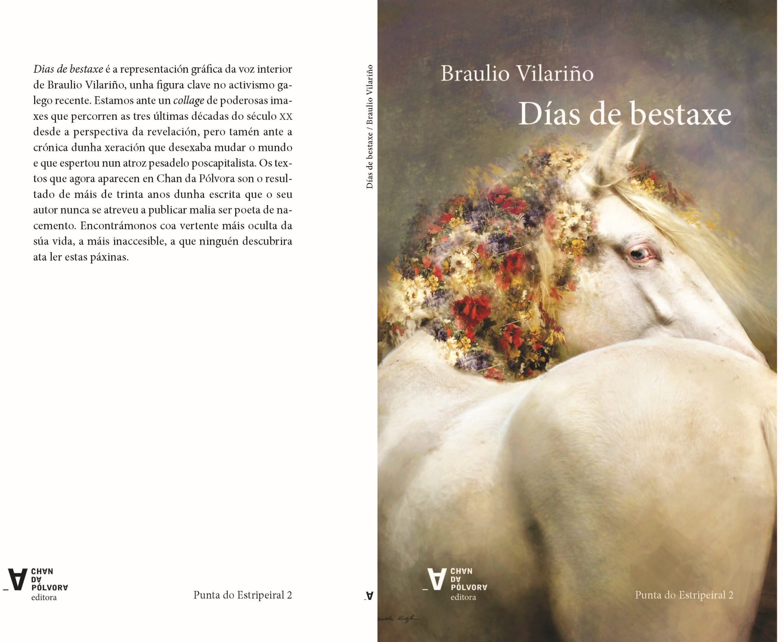 DÍAS DE BESTAXE - Imagen 3