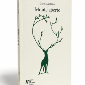 Monte Aberto