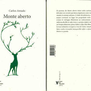 Monte Aberto